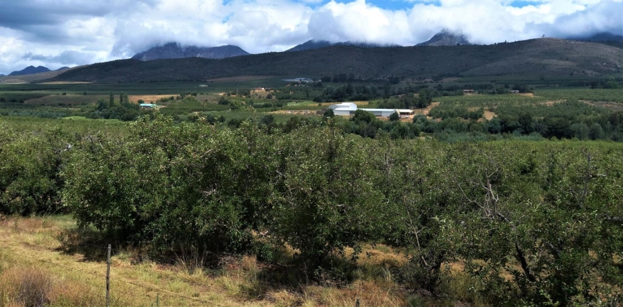 0 Bedroom Property for Sale in Uniondale Rural Western Cape